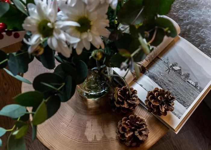 公寓式酒店 7 3*